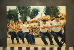 CP, PAYS BASQUE, Jeu De La Corde - Regional Games