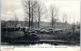28 - JOUY -- Moutons Au Paturage - Jouy