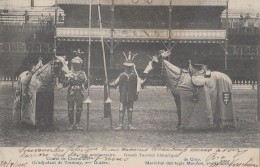 Evènements - Histoire -  Commémoration Chevalerie - Grand Tournoi - Laeken Belgique - 1905 - Demonstrations