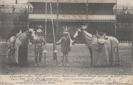 Evènements - Histoire -  Commémoration Chevalerie - Grand Tournoi - Laeken Belgique - 1905 - Manifestazioni