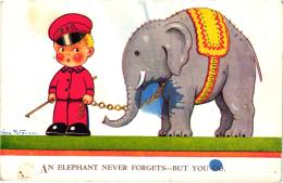 AN ELEPHANT NEVER FORGETS   REF 52901 - Paterson
