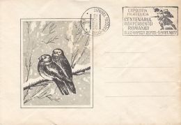 61992- BIRDS ON A BRANCH, SNOW, SPECIAL COVER, INDEPENDENCE CENTENARY SPECIAL POSTMARK, 1977, ROMANIA - Lettres & Documents