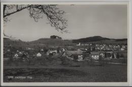 Eschlikon - Generalansicht - Photo: Hans Gross No. 12368 - Otros & Sin Clasificación