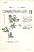 -themes Div- Ref R653- Illustrateurs - Illustrateur Fleurs - Plantes Medicinales -les Plantes Utiles - Pensée Sauvage - - Medicinal Plants