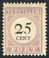 Yvert 13B (type II), 25c. Of 1891/5, VF Quality, Top Value Of The Set, Catalog Value Euros 110. - Surinam