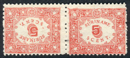 Yvert 58a, 1909 5c. Red Perforated, Pair Forming Tete-beche, Very Fine Quality, Rare, Catalog Value Euros 140. - Suriname