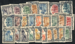 Lot Of Stamps Issued In 1901, Perfect To Look For Rare Perforations, Very Fine General Quality, LOW START! - Nyassaland (1907-1953)