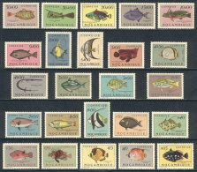 Sc.332/355, 1951 Fish, Complete Set Of 24 Values, The High And Expensive Values Of The Set (from 4.50E. To 50E.)... - Mozambique