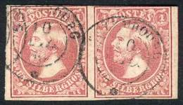 Sc.3, 1855 Grand Duke William 1Sg. Rose, Used PAIR, Fine Quality, Very Handsome, Catalog Value US$300. - Sonstige & Ohne Zuordnung