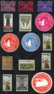14 Old Cinderellas, Very Thematic And Interesting, Fine General Quality, Low Start! - Other & Unclassified