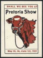 Cinderella Of The Pretoria Cattle Show, 1931, VF Quality! - Sonstige & Ohne Zuordnung