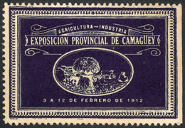 Camagüey Provincial Exposition Of Agriculture And Industry, VF, Rare! - Other & Unclassified