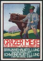 Advertising Pamphlet Of The Agricultural Exposition Of Graz, 1931. Size 98 X 145 Mm, Excellent Quality, Rare! - Other & Unclassified