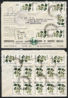 Registered Cover With AR Sent From Bernardo De Irigoyen To Buenos Aires On 26/MAY/1983 With INFLA Postage Of... - Other & Unclassified