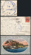 Postcard (horses Crossing A Pond) Franked With 5c. Plowman, Sent From Buenos Aires To Germany On 10/AU/1918, With... - Other & Unclassified