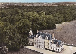 SAINT-VRAIN - Le Château De Billy -Vue Aérienne - Saint Vrain