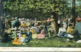Rarität Litho Fröhliche Pfingsten Personengruppe Feiern Im Wald 11.5.1903 Von Hamburg Nach Wilster - Pentecostés