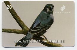 Oiseau Bird Télécarte Phonecard Telefonkarte (S.183) - Brasilien