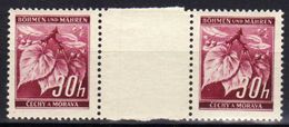 Böhmen Und Mähren 1939 Mi 24 ** Zwischenstegpaare [231113VII] @ - Unused Stamps