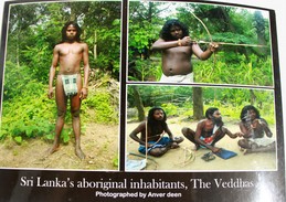 Les Vedda Ou Wanniyala-Aetto.peuple Indigène Du SRI LANKA.format:18,50 X 13 Cm - Asie