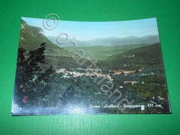 Delcampe - Cartolina Forino ( Avellino ) - Panorama 1969 - Avellino