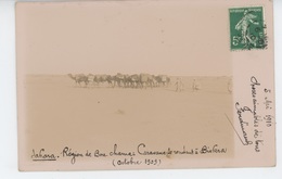 ALGERIE - EL OUED - Région De BOU CHAMA - 1909 - Caravane Se Rendant à BISKRA (Octobre 1909) - El-Oued