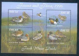 Ireland ** & Fauna And Flora 1996 - Blocks & Sheetlets
