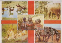 KENYA,afrique Est,prés Du Soudan,ethiopie,ouganda,tanzanie,lion,éléphant - Kenia