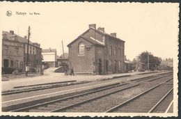 ** CPA - NATOYE - La Gare - Nels - Statie - Station  // - Hamois