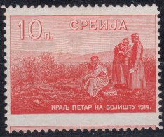 Serbia Kingdom 1915 King On Battlefield Mi#131 Moved Perforation, Mint Hinged - Serbie