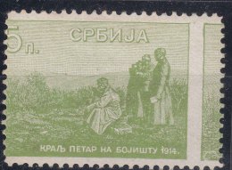 Serbia Kingdom 1915 King On Battlefield Mi#130 Moved Perforation To The Big Part Of Next Stamp In Sheet, Mint Hinged - Serbie