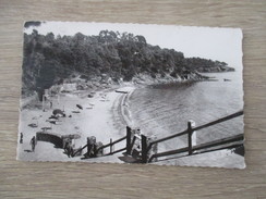 CPA PHOTO 83 PLAGE DU RAYOL - Rayol-Canadel-sur-Mer