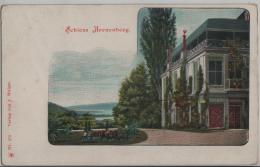 Schloss Arenenberg - Photo: J. Walser No. 573 - Otros & Sin Clasificación