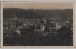 Bischofszell - Teilansicht Mit Bahnhof - Photo: Frei & Co. No. 4460 - Bischofszell