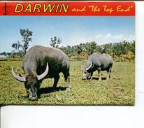 (Folder 76) Australia -NT - Darwin (view Booklet) - Darwin