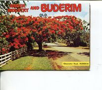 (Folder 78) Australia - QLd - Buderim (view Booklet) - Sunshine Coast