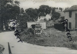 Steinbach-Limerlè  (Gouvy) - Vieille Maison Ardennaise    (Foto - Lutte Frères, Genappe)    ( Grand Format 15 X 10 Cm ) - Gouvy