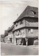 Rouffach: La Maison Aux Trois Colonnes, 'COOP Administration'  - (Haut-Rhin, France) - Rouffach
