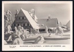 A4984 - Alte Foto Ansichtskarte - Gaststätte Waldschänke Altes Raupennest Altenberg - Hering 3694 - 1953 - Altenberg