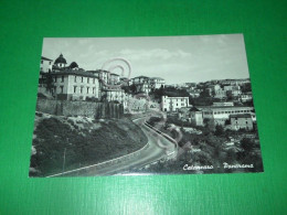 Delcampe - Cartolina Catanzaro - Panorama 1960 Ca - Catanzaro