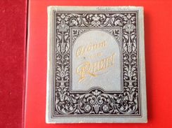 Album Vom Rhein Als Leporello Ca. 1890/1900 Bonn Godesberg Straßenbahn Drachenfels Königswinter Remagen - Rheinland-Pfalz