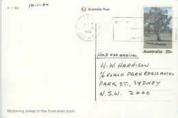 1980  View Card MUstering Sheep In The Austrlian Bush - £2-G3 Used - Postwaardestukken