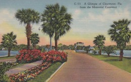 Florida Clearwater View From The Memorial Causeway Curteich - Clearwater