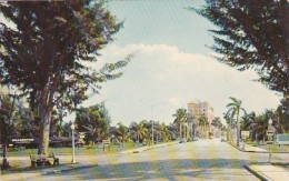 Florida Bradenton Looking South On 10th Street - Bradenton