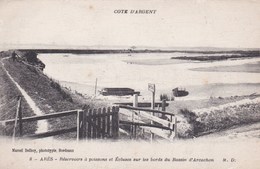 ARES - Réservoirs à Poissons Et Ecluses Du Bassin D'Arcachon - Arès