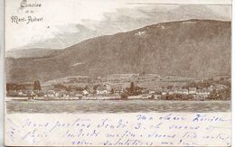 Suisse. Concise Et Le Mont Aubert - Concise