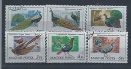 HONGRIE :Y&T N° 2550 à 2555  " Paons Divers " - Peacocks