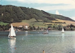 LAC DE PALADRU CHARAVINES  VOILIERS SUR LE LAC (chloé4) - Paladru