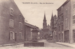 BLAMONT RUE DES BOUCHERIES ( Fontaine ) - Blamont