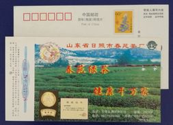 Golden Medal Of National Agricultural Fair,China 2000 Rizhao Chunyuan Green Tea Advertising Pre-stamped Card - Sonstige & Ohne Zuordnung